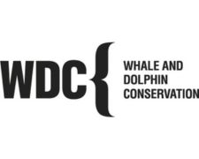 Logo Whale and Dolphin Conservation